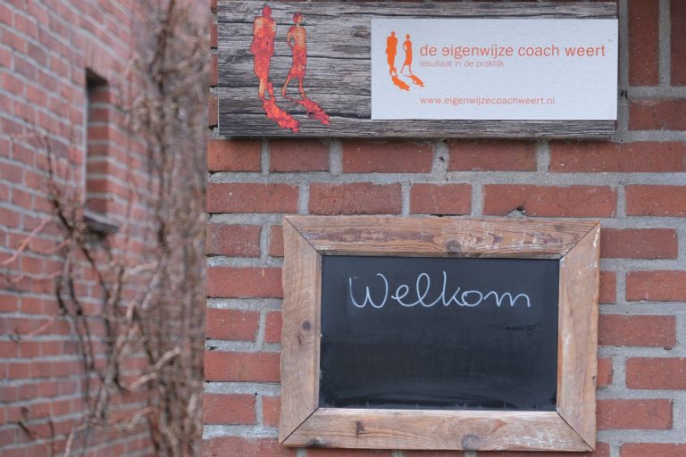 Wat zijn de 3 V's bij NLP, Eigenwijze Coach Weert